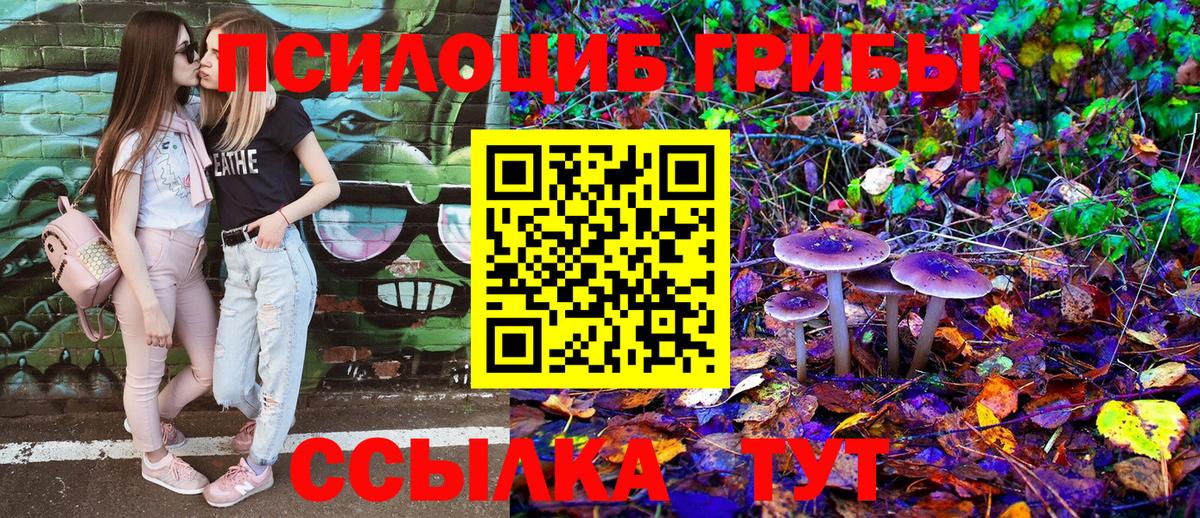 Псилоцибиновые грибы Psilocybe Унеча