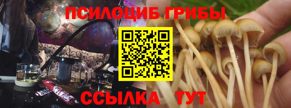 Псилоцибиновые грибы прущие грибы  Галлюциногенные грибы мухоморы  Вход с VPN  Унеча 